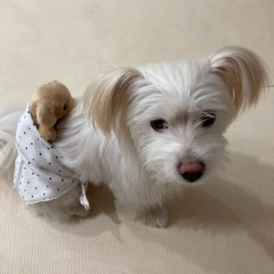 (hyom)'s profile picture