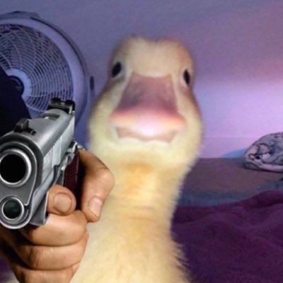 Akso's profile picture