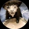Arie's profile picture