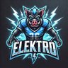 EleKtr0 profil fotoğrafı