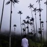 Фото профиля Alexis Cadena