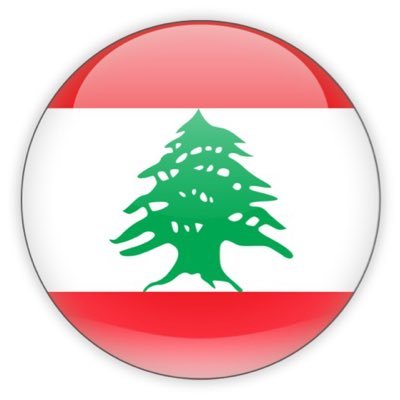 ShabLebnani's profile picture