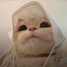 Fefê aurudo profil fotoğrafı