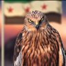 Profilbild von الشاهين