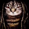 BBCskibidiniggacum's profile picture