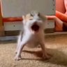 parkitzeluwu's profile picture