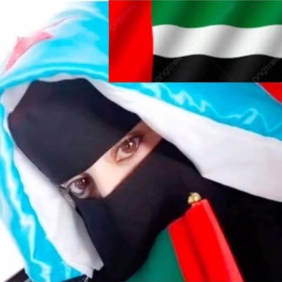v_flvw's profile picture