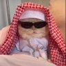 Mob Gen's profile picture