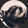 Raccoonji profil fotoğrafı