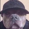 𝖒𝖆𝖙𝖊𝖔 :·:'s profile picture