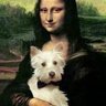 Profilbild von The Mona-Westie