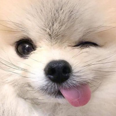 콰루's profile picture