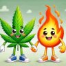 Profilbild von Aluno do Grower
