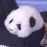 Binnning 的头像