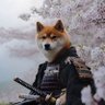彼岸花 的头像