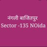 Фото профиля नंगली बाजितपुर सेक्टर 135