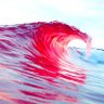 Chicago Red Wave's profile picture