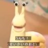 Profilbild von カタツムリ