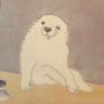 江戸時代の犬 profil fotoğrafı