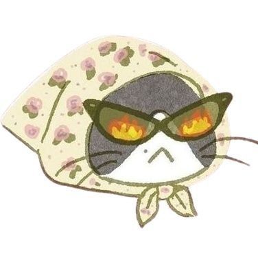 ita's profile picture