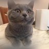 吹牛皮 profil fotoğrafı