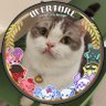 fiery❤️🧡💛💙💜's profile picture