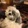 Robin's profile picture