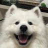 rukkkrh's profile picture