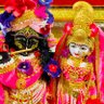 ANUJ KUMAR YADAV profil fotoğrafı