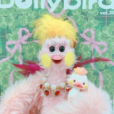 Dollybird's profile picture
