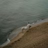 Фото профиля Lolo🐎