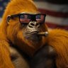 The Department of Beautiful America 🇺🇸 profil fotoğrafı