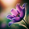 Profilbild von زهرة🌺