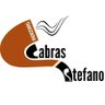 Profilbild von stefano cabras