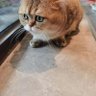Redrum's profile picture