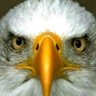 George Okekefi profil fotoğrafı