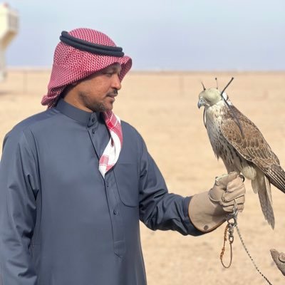 ahmed_nobaa's profile picture