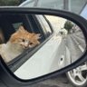 Artibit Rantal profil fotoğrafı