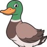 Profilbild von The Duck