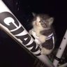 hukka🐺hukka's profile picture