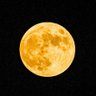 zie's profile picture