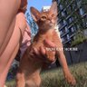 玖玖之 profil fotoğrafı