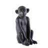 MonkeyBlack7's profile picture