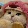 jas's profile picture