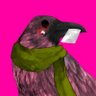 Mohaw's profile picture