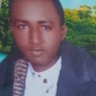 حمدو ابراهيم حامد 的头像