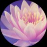 ChrisMandara's profile picture