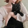 кесулькен's profile picture