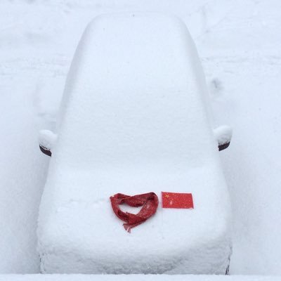 Theskys25675511's profile picture