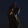 CwƏrHa's profile picture